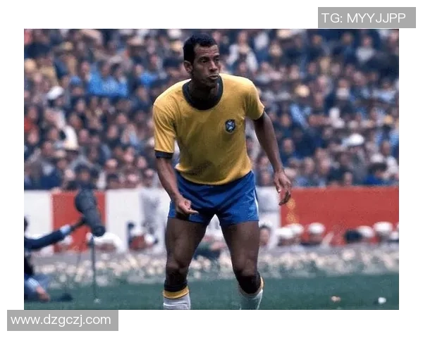 足球历史五大球星排名盘点 谁是足坛最伟大的传奇人物